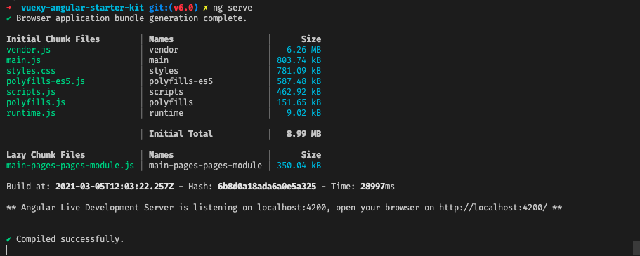 console-output-of-development-server